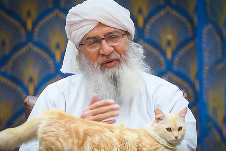 Illustration of Imam al-Dardir surrounded by cats at Al-Azhar Mosque. A scholar cutting the sleeve of his robe to avoid disturbing a sleeping cat. A tent in the jungle symbolizing Imam al-Rifa’i’s care for a sick dog.